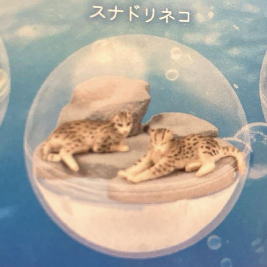 Amazon.co.jp: 鳥羽水族館 ラッコ カプリウムコレクション ガチャ 4点